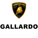 ELARGISSEUR DE VOIE LAMBORGHINI GALLARDO